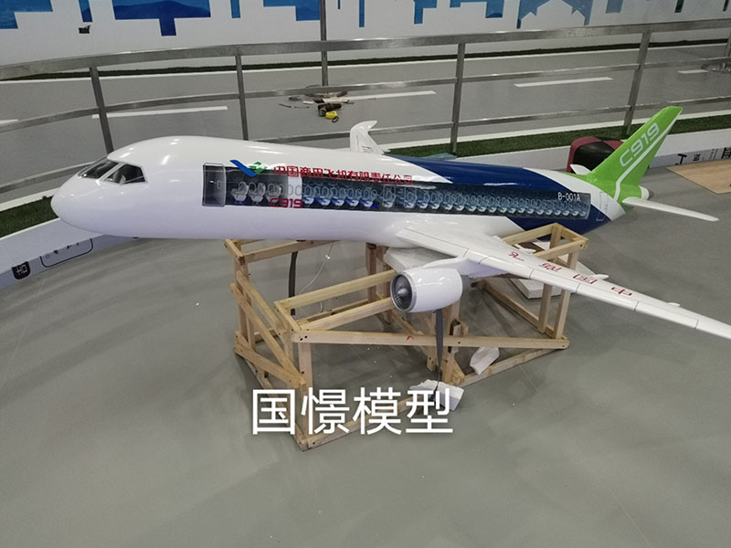 新乡飞机模型